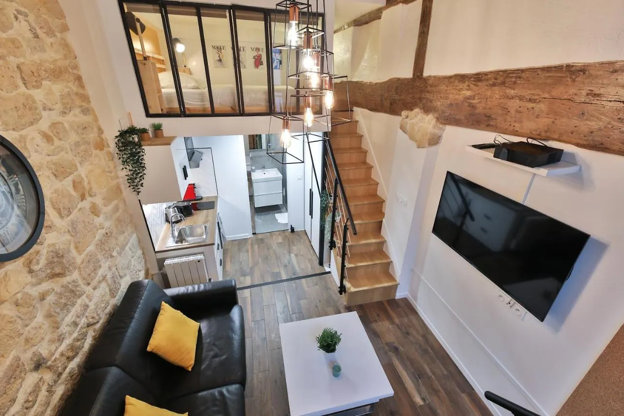 Apartment Modern Tasty Loft Saint Germain Latin Quarter Paris